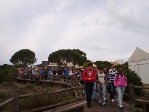 P8190050