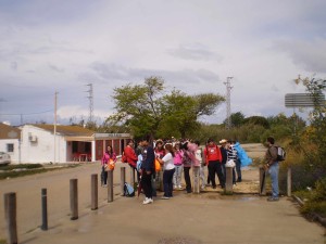 P8190051